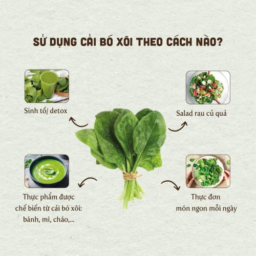 Bột cải bó xôi sấy lạnh nguyên chất Salafarm vn 03