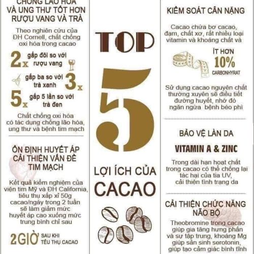 Bột cacao sấy lạnh nguyên chất Salafarm vn 07