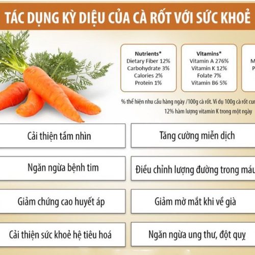 Bột carrot sấy lạnh nguyên chất Salafarm Sấy lạnh 04