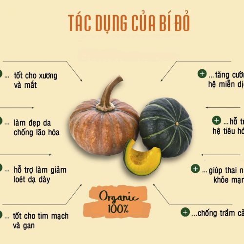 Bột quả bí đỏ sấy lạnh nguyên chất Salafarm vn 02a