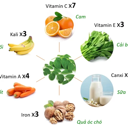 Bột lá chùm ngây sấy lạnh nguyên chất Salafarm vn 03